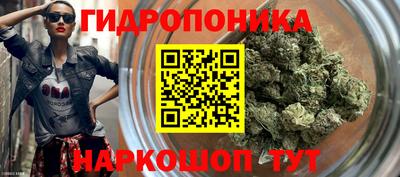 индика Будённовск