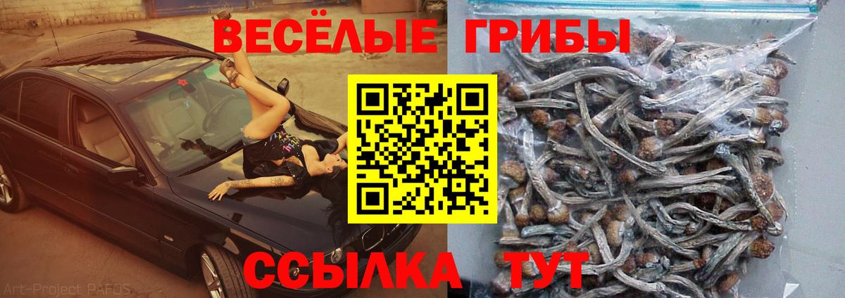 Галлюциногенные грибы ЛСД Учалы